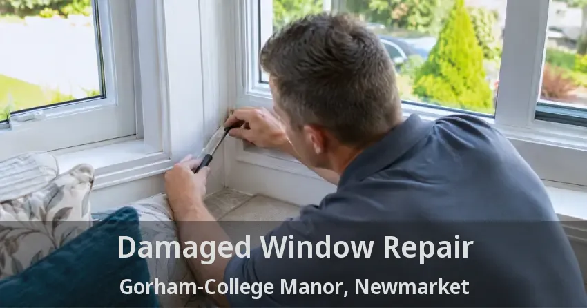Damaged Window Repair Gorham-College Manor, Newmarket - ON