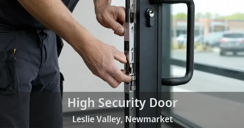 High Security Door Leslie Valley, Newmarket - ON