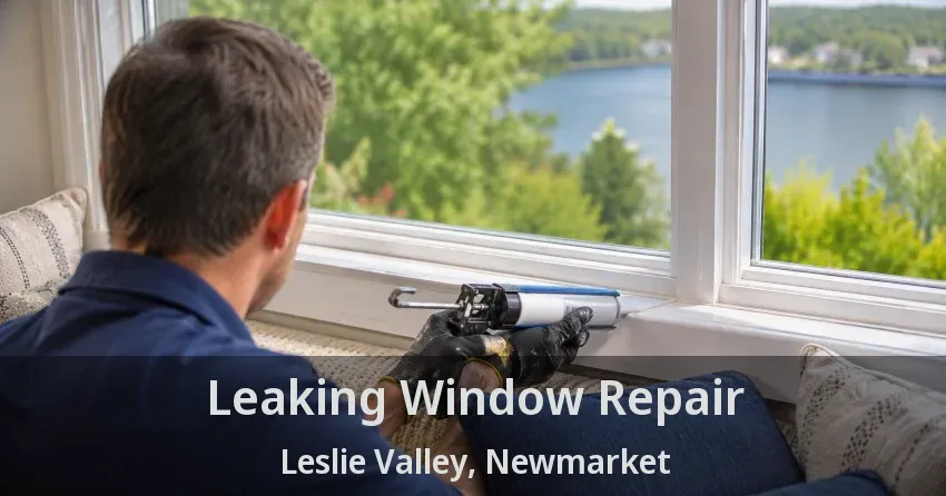 Leaking Window Repair Leslie Valley, Newmarket - ON