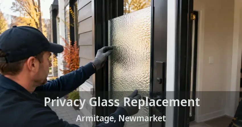 Privacy Glass Replacement Armitage, Newmarket - ON