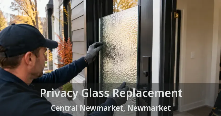Privacy Glass Replacement Central Newmarket, Newmarket - ON